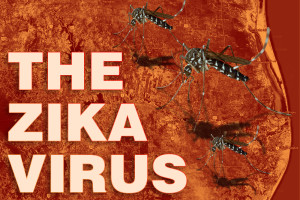 Zika0215_web