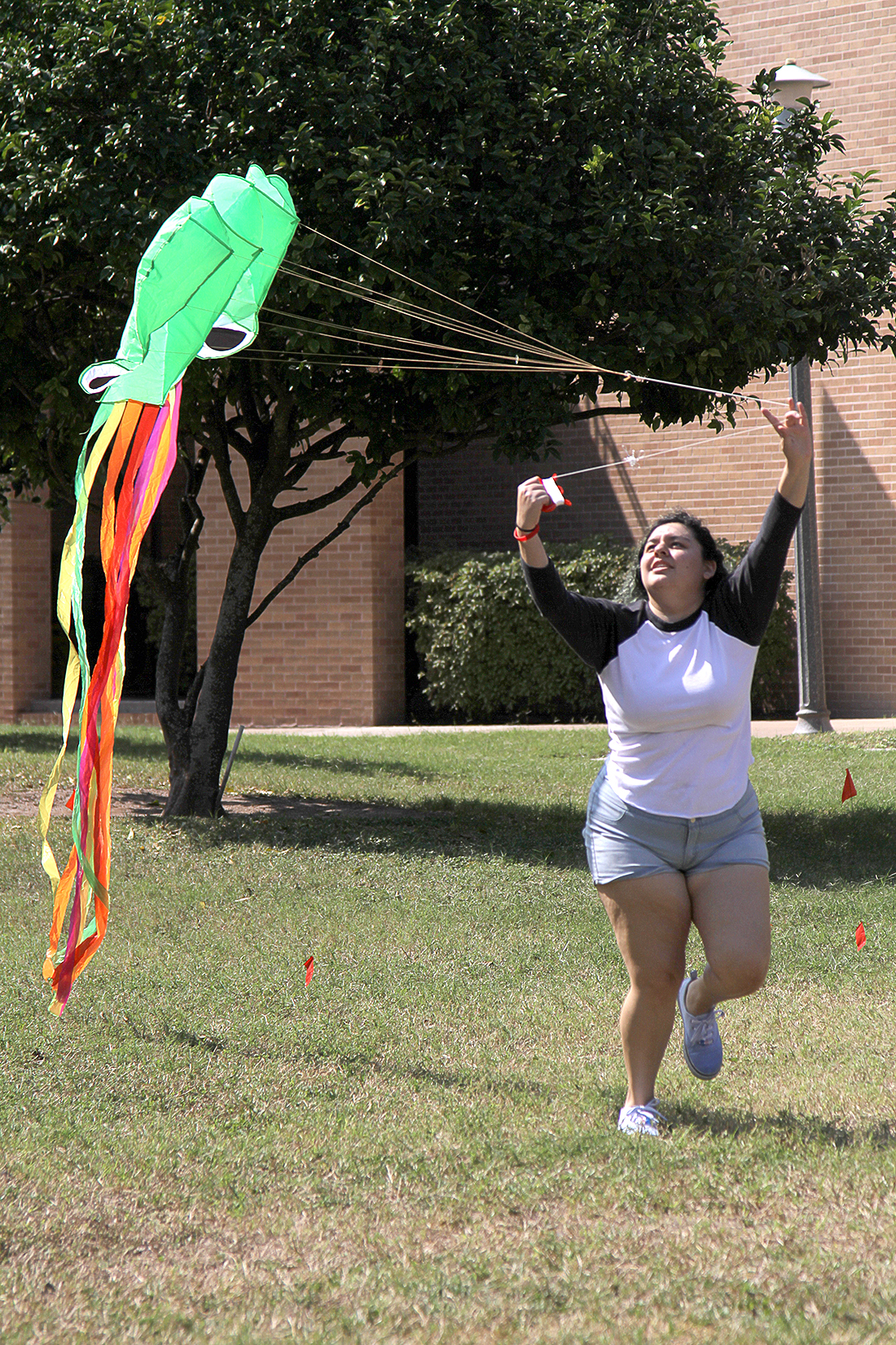 Kite0213_OL