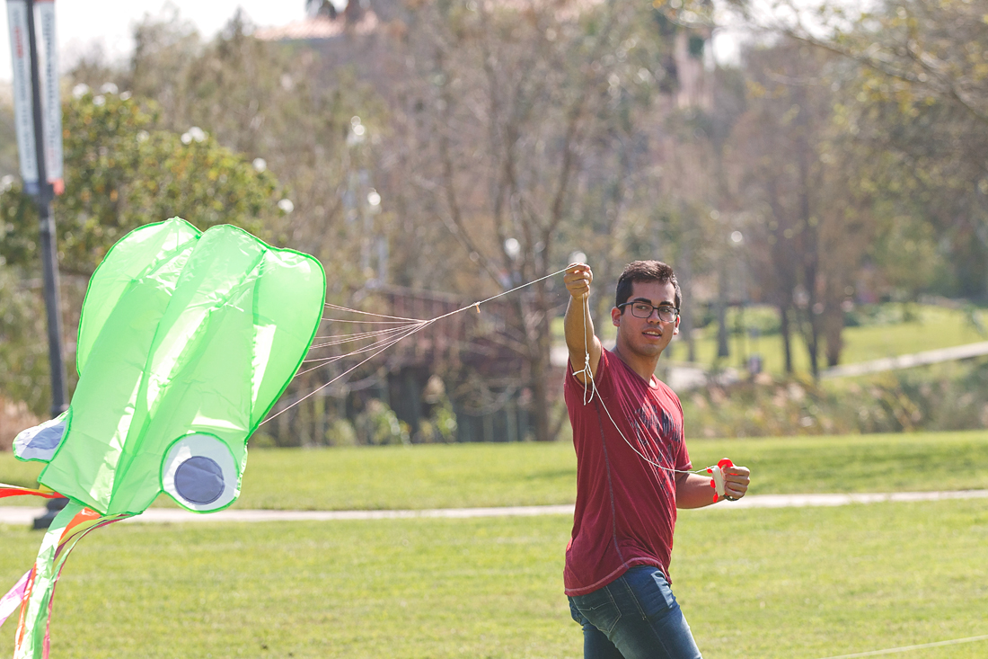 Kite4_0213_web