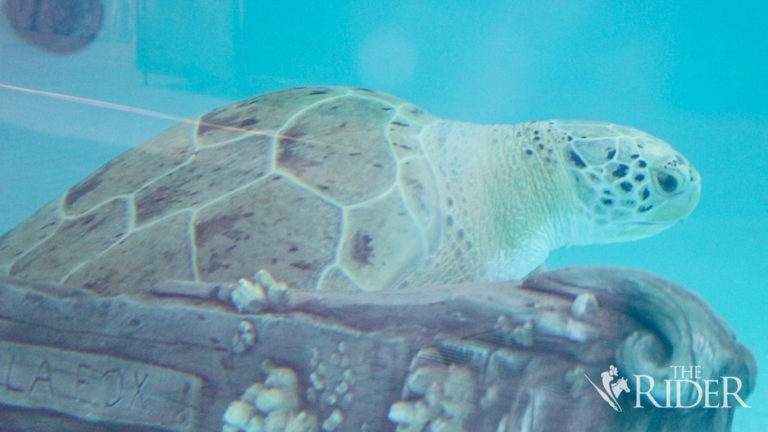 sites0305_1_OL