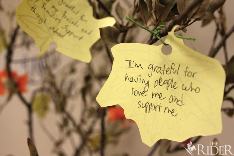 SuicideCut_2_0917WEB