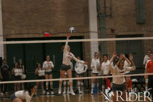 Volleyball1115WEB (1)