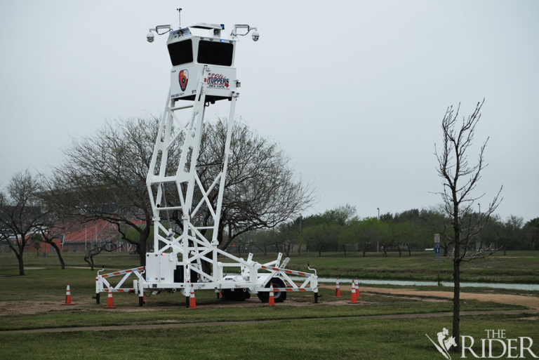 Picture1