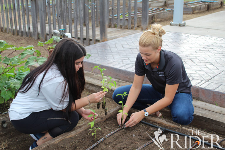 Garden1014_OL