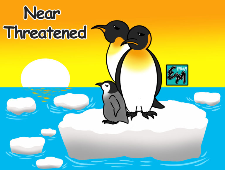 Penguin Cartoon
