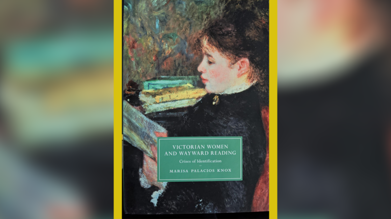 Victorian Women and Wayward Reading: Crises of Identification novel
