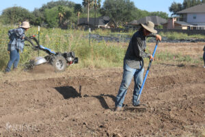 ProsperityCut0815_OL1-2