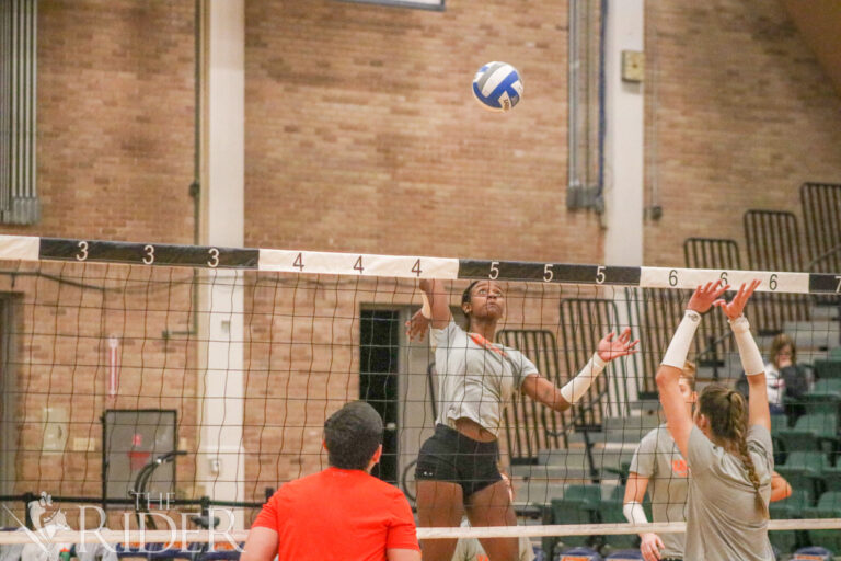VolleyballCut1205_OL3