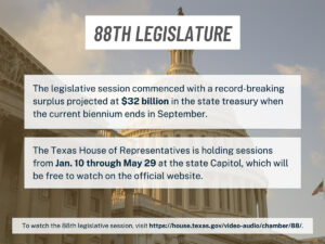 Legiscut0123_OL
