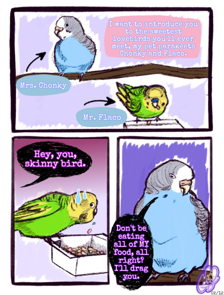 TheLovebirdsChonkyandFlaco0212
