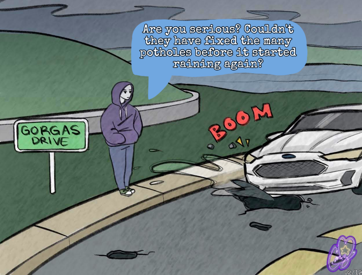 TheUnfixedPotholesofGorgasDrive0219