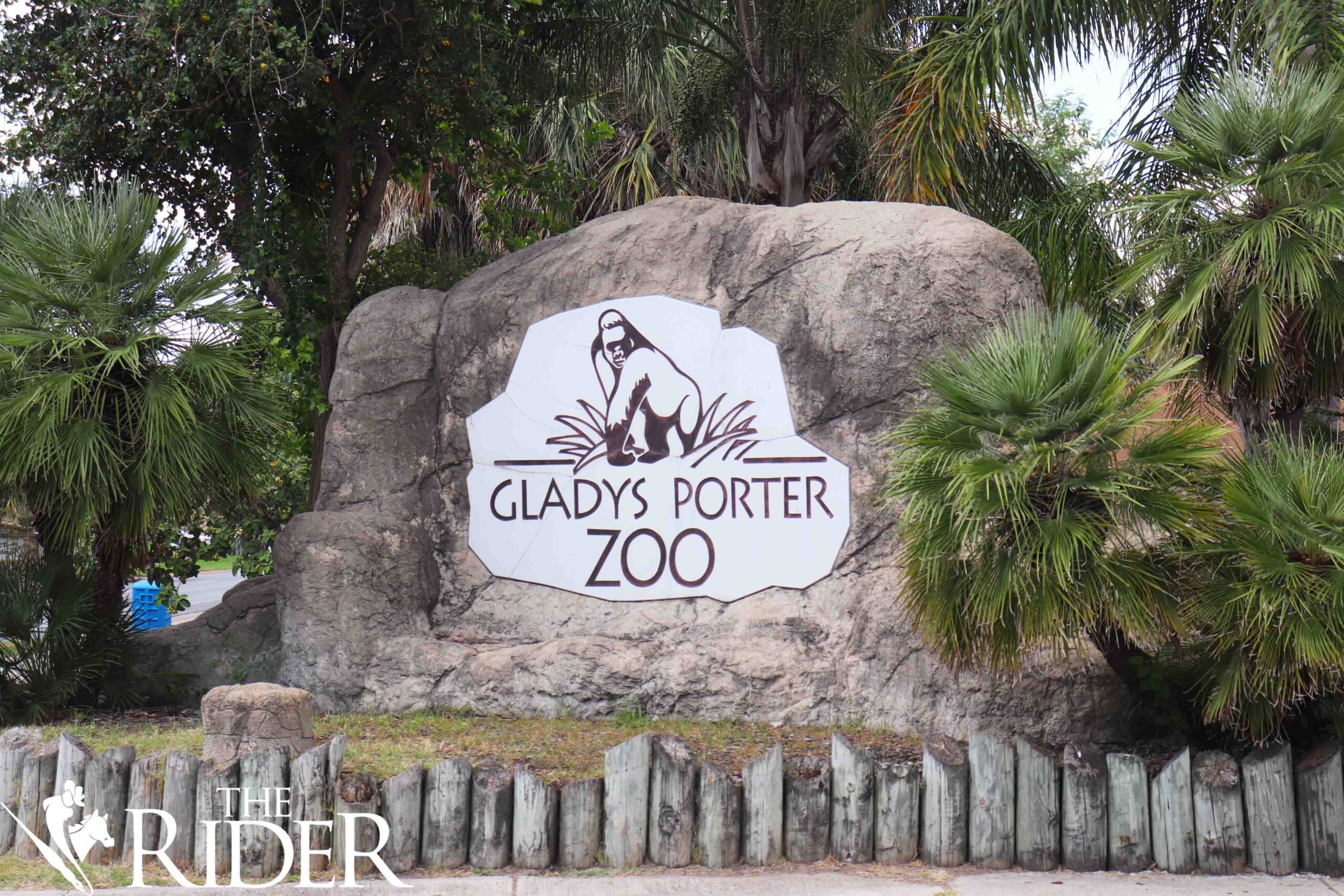 Gladys Porter Zoo Bag Policy