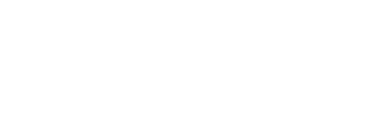 The Rider Newspaper